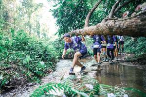 BIB: 
                            <button type="button" onclick="openModal(25460864)" class="btn btn-primary btn-sm float-right btn-popup" data-toggle="modal" data-target=".modal-high-quality">
                        <i class="fas fa-shopping-cart"></i> Add to Cart
                    </button>
                                            <button type="button" onclick="isThisMe(25460864, true)" class="btn btn-success btn-sm float-right btn-popup btn-isme hidden" data-toggle="tooltip" data-placement="bottom" title="นี่คือรูปของคุณใช่ไหม คลิกที่นี่เพื่อเอาเข้าอัลบั้ม">
                        <i class="fas fa-plus"></i> Add to album
                    </button>
                    <button type="button" onclick="isThisMe(25460864, false)" class="btn btn-warning btn-sm float-right btn-popup btn-isnotme hidden">
                        <i class="fas fa-ban"></i> Remove from album
                    </button>